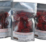 Trinidad Scorpion Dried Pods 10g