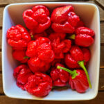 Trinidad Moruga Scorpion seeds